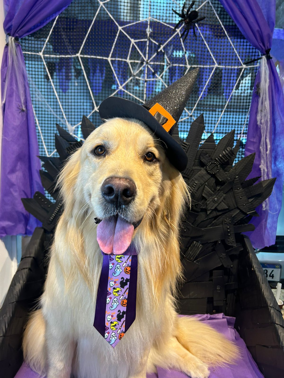 Golden Retriever no Halloween