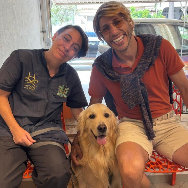 Shih Tzu com fantasia de carnaval e laço roxo